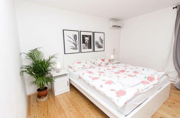 שיבניק Apartments And Rooms Ille מראה חיצוני תמונה